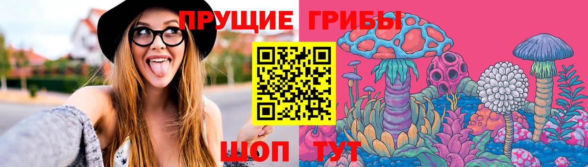 Богданович  Галлюциногенные грибы Psilocybine cubensis  Вход с VPN 