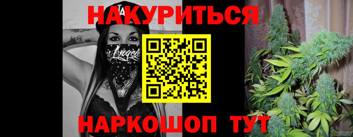 Конопля тримм  Вход с VPN  Бошки марихуана Bruce Banner  МАРИХУАНА White Widow  Богданович 